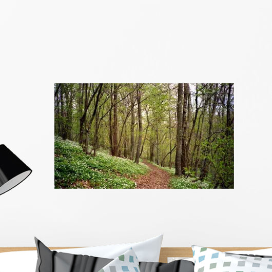 Forest Walk Wall Decal