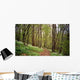 Forest Walk Wall Decal