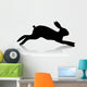 Hare Running