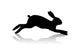 Hare Running