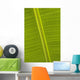 Detail Of Banana Leaf, Blue Mountains, Jamaica Wall Mural