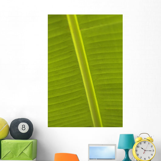 Detail Of Banana Leaf, Blue Mountains, Jamaica Wall Mural