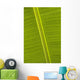 Detail Of Banana Leaf, Blue Mountains, Jamaica Wall Mural