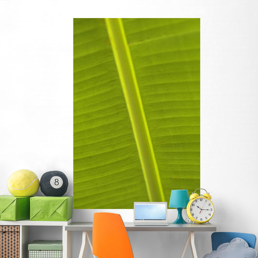 Detail Of Banana Leaf, Blue Mountains, Jamaica Wall Mural