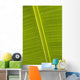 Detail Of Banana Leaf, Blue Mountains, Jamaica Wall Mural