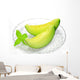 melon Wall Decal