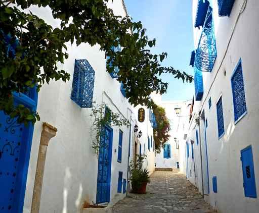 Rue Sidi Bou Said Wall Decal