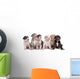 Six Great Dane Puppies Wall Decal