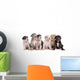 Six Great Dane Puppies Wall Decal