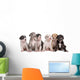 Six Great Dane Puppies Wall Decal