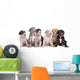 Six Great Dane Puppies Wall Decal