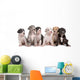 Six Great Dane Puppies Wall Decal