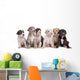 Six Great Dane Puppies Wall Decal