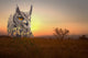 Limpopo Mountain Sunset