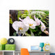 Orchid