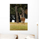 Eight Point Whitetailed Deer Wall Mural