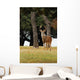 Eight Point Whitetailed Deer Wall Mural