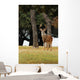 Eight Point Whitetailed Deer Wall Mural