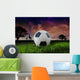 African Soccer Wall Mural