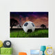 African Soccer Wall Mural