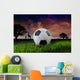 African Soccer Wall Mural