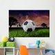 African Soccer Wall Mural
