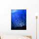Underwater Wall Mural