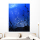 Underwater Wall Mural