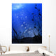 Underwater Wall Mural
