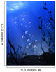 Underwater Wall Mural