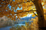Autumn Lake