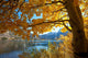 Autumn Lake