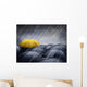 umbrellas Wall Mural