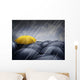 umbrellas Wall Mural