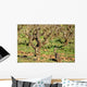 Pied Vigne Wall Decal