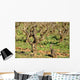 Pied Vigne Wall Decal