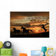 Sunset Beach with Horses