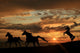 Sunset Beach with Horses