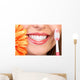 Smile and Teeth