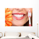 Smile and Teeth