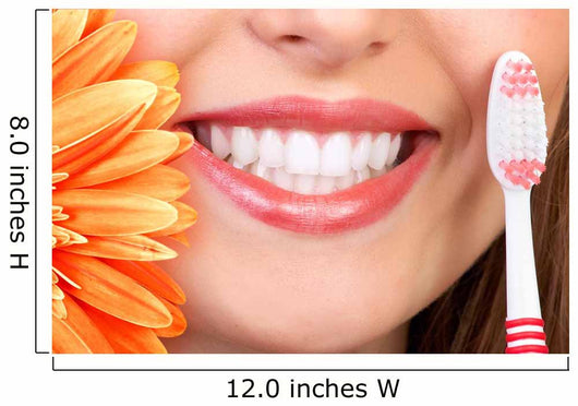Smile and Teeth