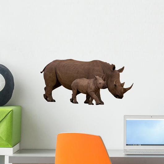 Rhino With Calf Isolated on White Wall Decal