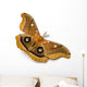 Polyphemus Moth Wall Decal