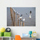 Seagull