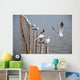Seagull