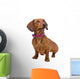 front view of a short haired Dachshund Wall Decal