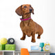 front view of a short haired Dachshund Wall Decal