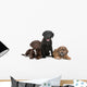 Three Puppies Two Labradors Wall Decal
