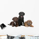 Three Puppies Two Labradors Wall Decal