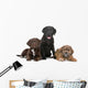Three Puppies Two Labradors Wall Decal